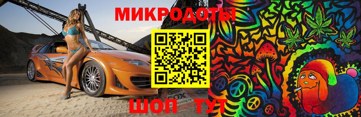 Галлюциногенные грибы Psilocybine cubensis Ковров